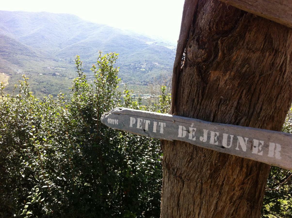 Mare E Legnu Bed & Breakfast Peri Exterior photo